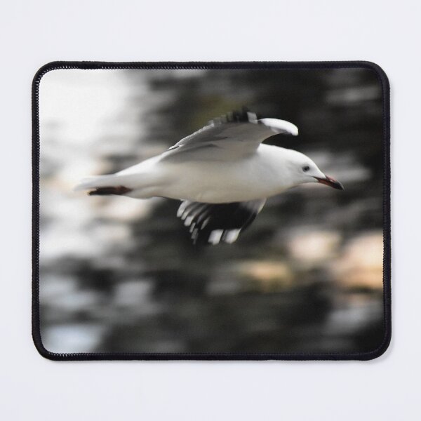 Item preview, Free Flight designed and sold by Angel Granata - Lone Gull Studio.
