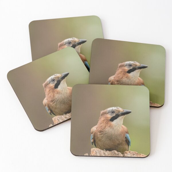 Item preview, Jay designed and sold by JackBranscombe.