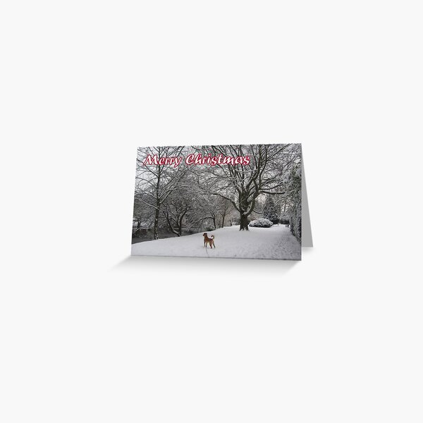 Merry Christmas - dog 01 Greeting Card