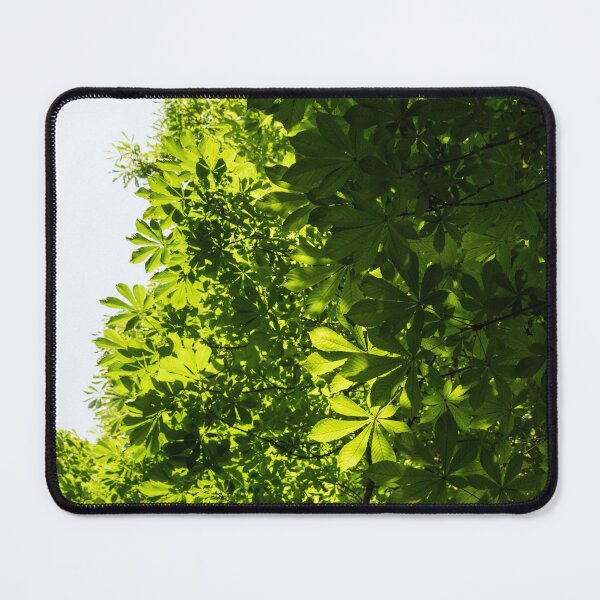Item preview, More Than Sixty Shades Of Green - Sunlit Chestnut Leaves Patterns - Vertical Right One designed and sold by Georgia Mizuleva.