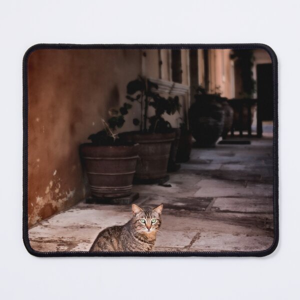 Item preview, Cat In Monastery designed and sold by Graham Prentice.