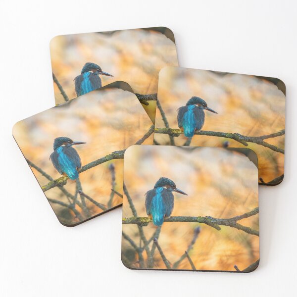 Item preview, Kingfisher 'On fire' designed and sold by JackBranscombe.