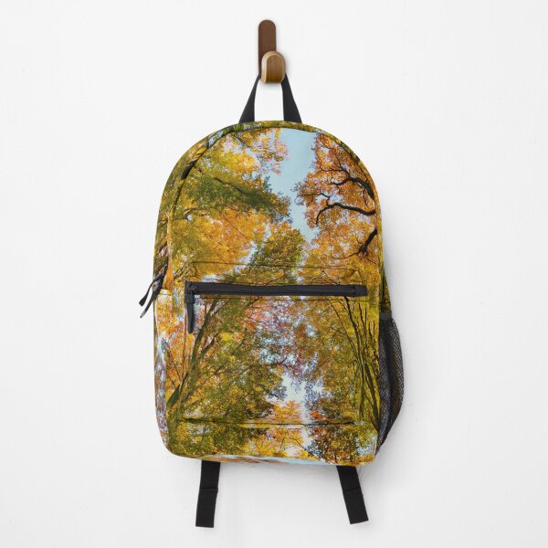 Item preview, Looking Up At Colourful Autumn Trees In A Forest designed and sold by Kate-P-.