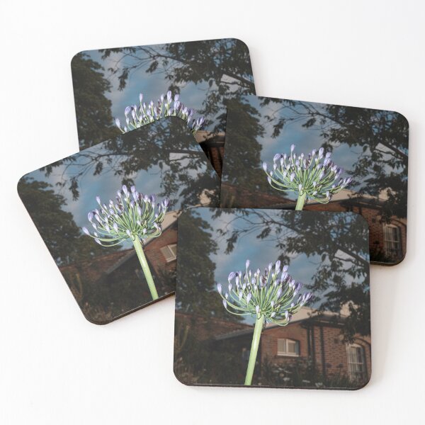 Item preview, The Walled Garden #1 designed and sold by jonny hughes.