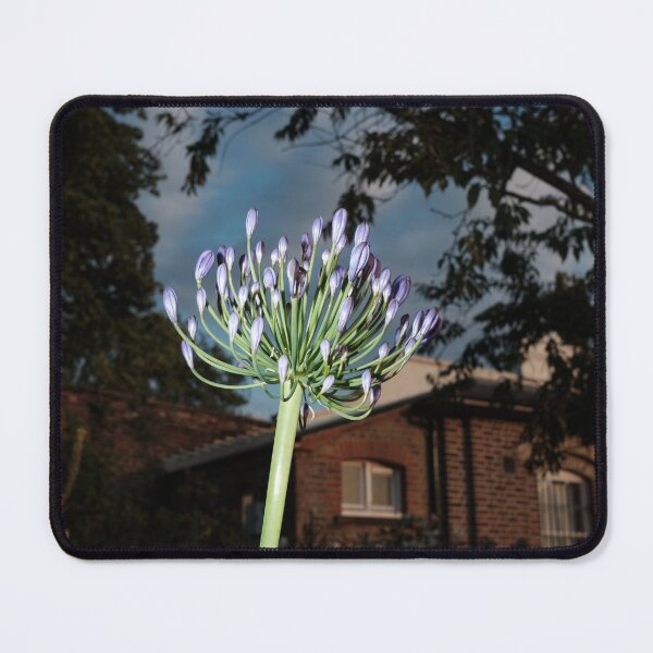 Item preview, The Walled Garden #1 designed and sold by jonny hughes.