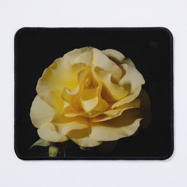 Item preview, The Walled Garden #3 designed and sold by jonny hughes.