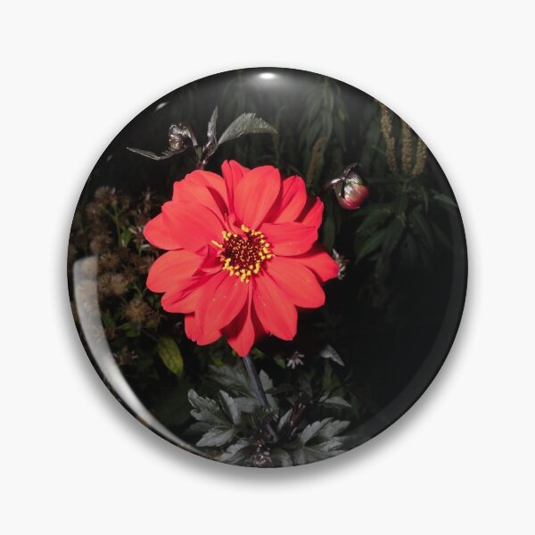 Item preview, The Walled garden #4 designed and sold by jonny hughes.