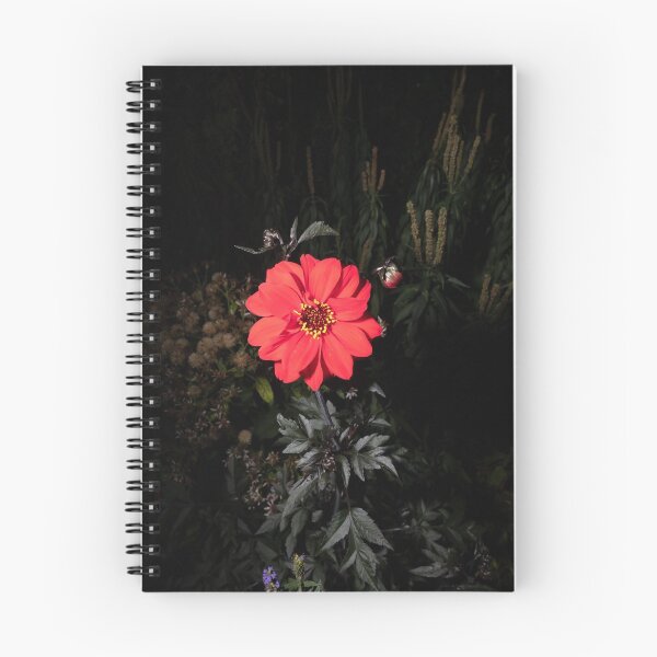 Item preview, The Walled garden #4 designed and sold by jonny hughes.