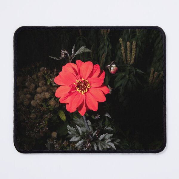Item preview, The Walled garden #4 designed and sold by jonny hughes.