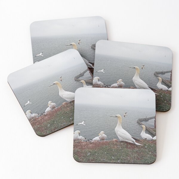 Item preview, Helgoland Lange Anna Northern Gannet designed and sold by gesa118.