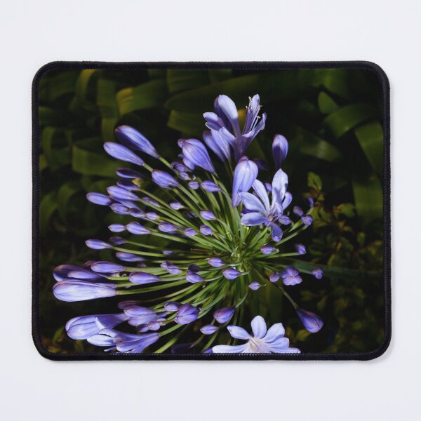Item preview, The Walled Garden #5 designed and sold by jonny hughes.