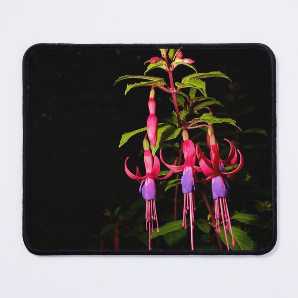 Item preview, The Walled Garden #7 designed and sold by jonny hughes.