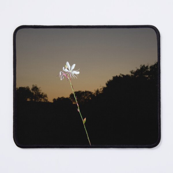 Item preview, The Walled Garden #9 designed and sold by jonny hughes.