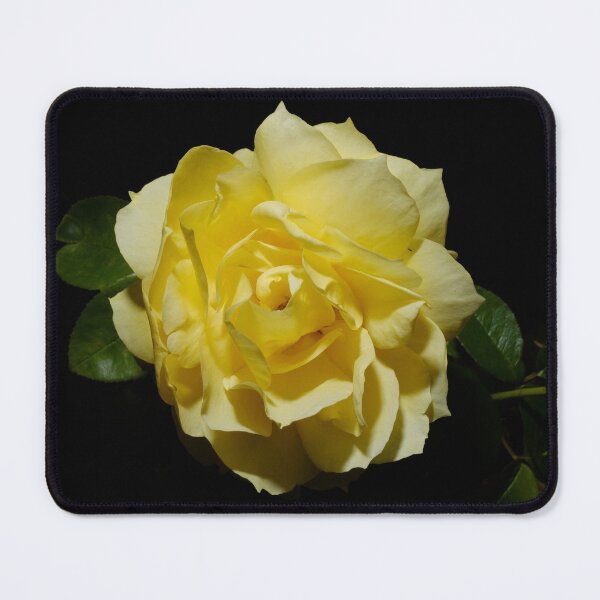 Item preview, The Walled Garden #10 designed and sold by jonny hughes.