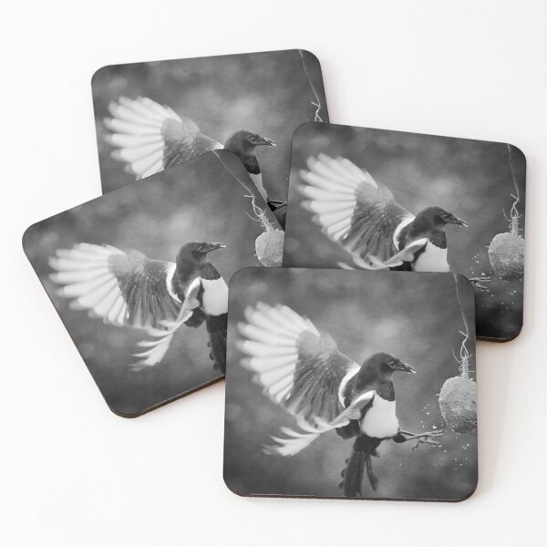Item preview, Magpie Feeding designed and sold by Graham Prentice.