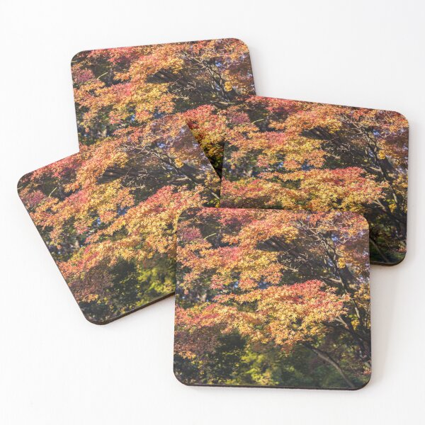 Item preview, Maples in Glorious Autumn Colour designed and sold by Graham Prentice.