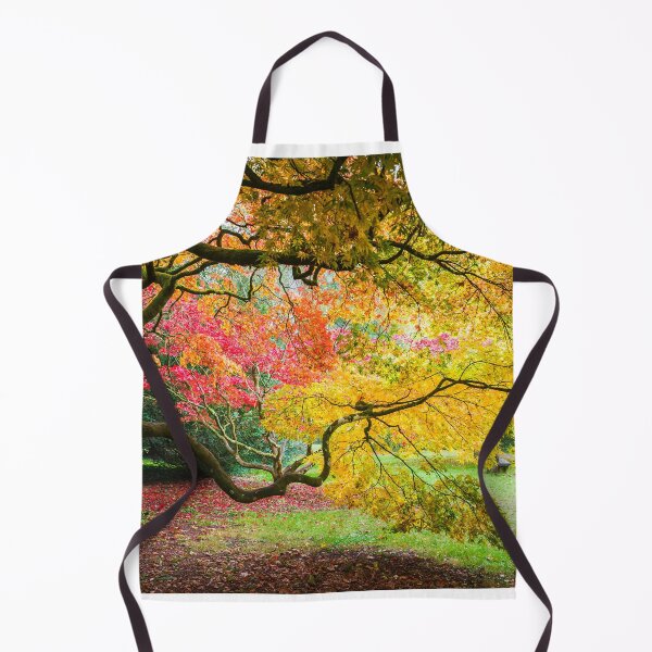 Item preview, Japanese Maples (Acer Palmatum) in Autumn Colours designed and sold by Graham Prentice.