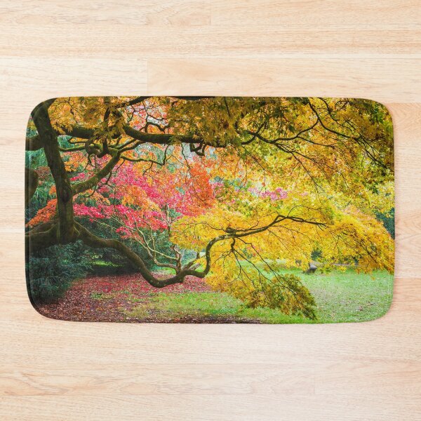 Item preview, Japanese Maples (Acer Palmatum) in Autumn Colours designed and sold by Graham Prentice.