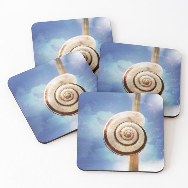 Item preview, Snail shell designed and sold by Christine Mignon.