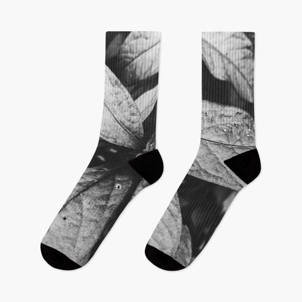 Item preview, black and white plant-black and white nature photography designed and sold by jinutt.