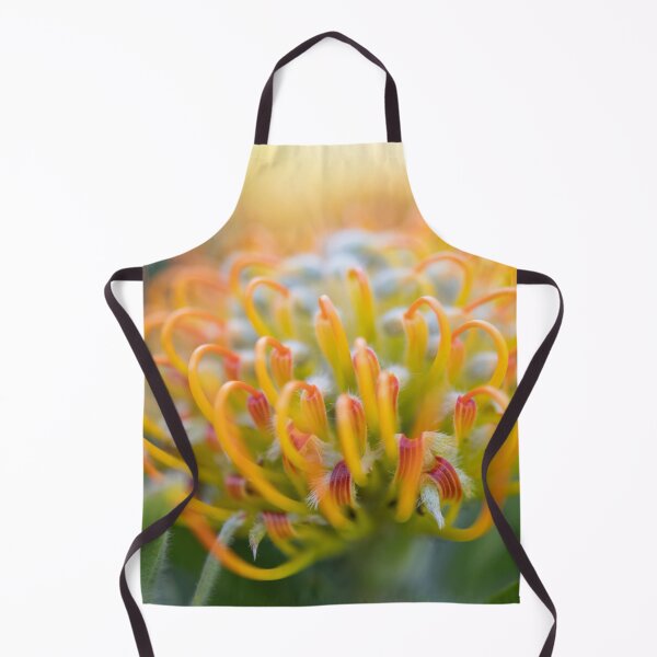 Item preview, Protea - Leucospermum praecox designed and sold by imaginethis.