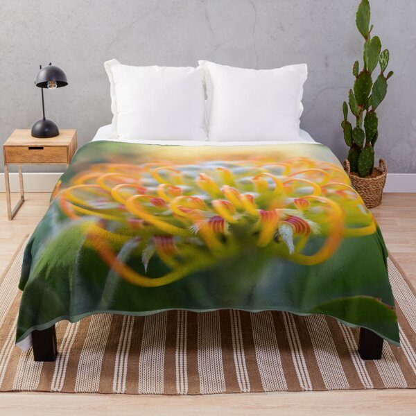 Item preview, Protea - Leucospermum praecox designed and sold by imaginethis.