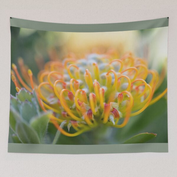 Item preview, Protea - Leucospermum praecox designed and sold by imaginethis.