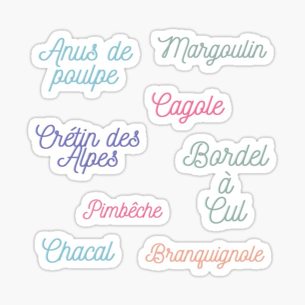 Sticker Pack 2 - Insults, nasty words - Bullet journal, planner ... Sticker