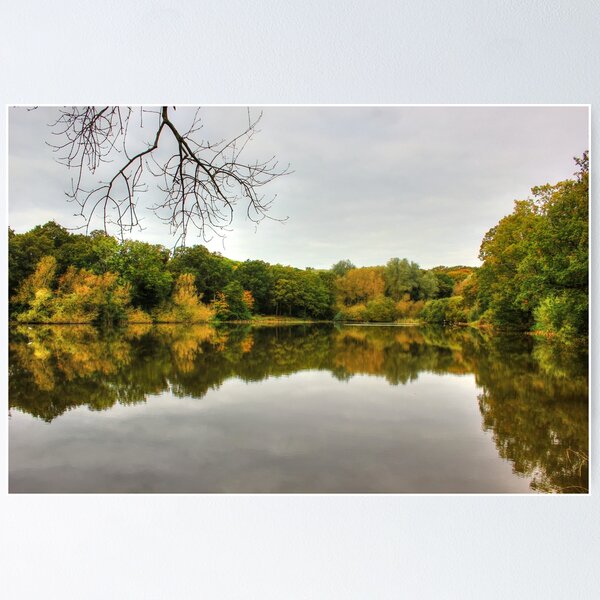 Item preview, Colours Are Changing designed and sold by Vicki Spindler (VHS Photography).