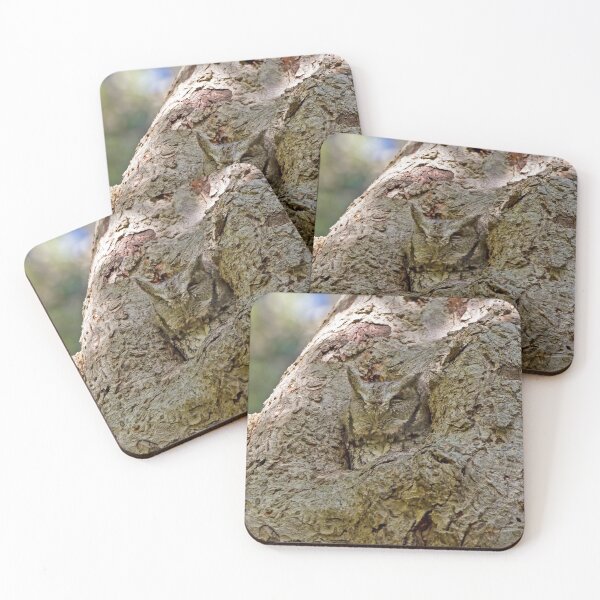Item preview, Screech owl hiding in plain sight designed and sold by Karen Hogan.