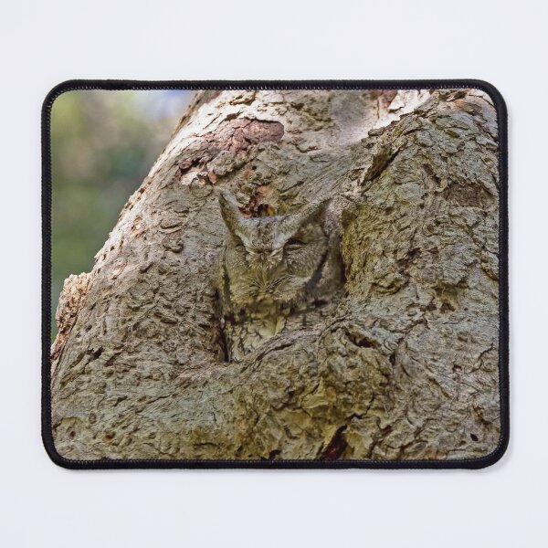 Item preview, Screech owl hiding in plain sight designed and sold by Karen Hogan.