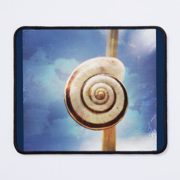 Item preview, Snail shell designed and sold by Christine Mignon.