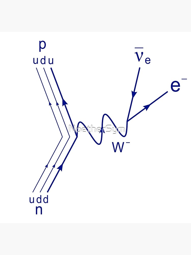 Discover Feynman diagram, proton neutron scattering beta decay Premium Matte Vertical Poster