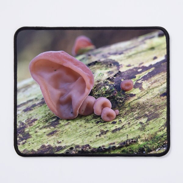Item preview, We're All Ears! designed and sold by cuprum.