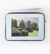 Dawn In A Topiary Garden Laptop Sleeve