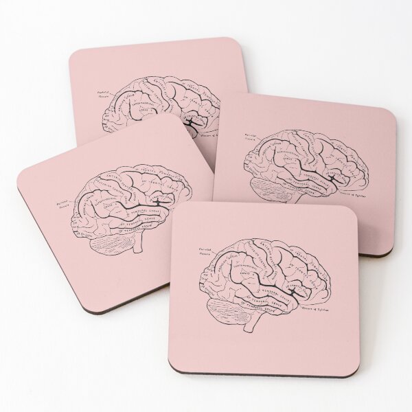 Item preview, Anatomical Brain designed and sold by STEM-women.