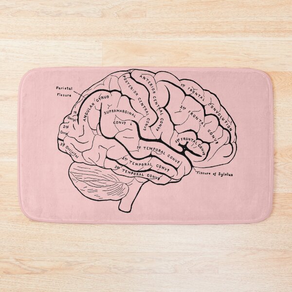 Item preview, Anatomical Brain designed and sold by STEM-women.