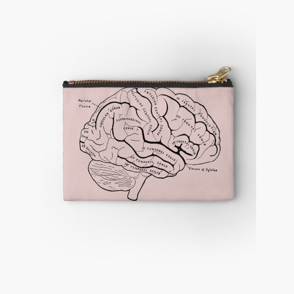 Item preview, Anatomical Brain designed and sold by STEM-women.