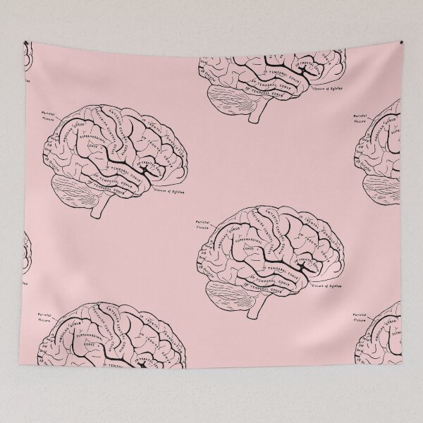 Item preview, Anatomical Brain designed and sold by STEM-women.