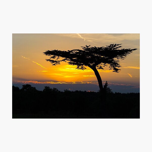 Golden sunset Photographic Print
