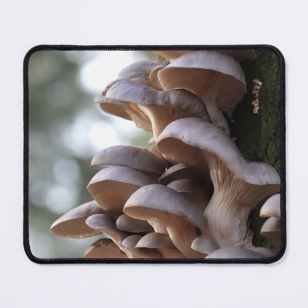 Item preview, Tree Dwellers designed and sold by cuprum.