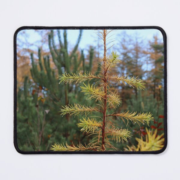 Item preview, Evergreen designed and sold by cuprum.