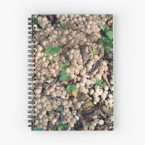 Item preview, Mushroom Forage designed and sold by Rose Ab.