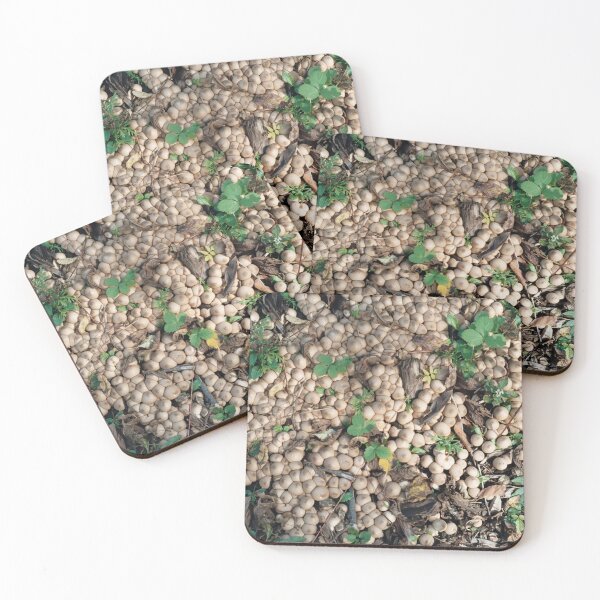 Item preview, Mushroom Forage designed and sold by Rose Ab.