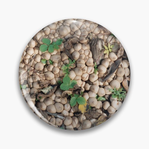 Item preview, Mushroom Forage designed and sold by Rose Ab.