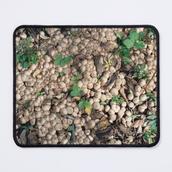 Item preview, Mushroom Forage designed and sold by Rose Ab.