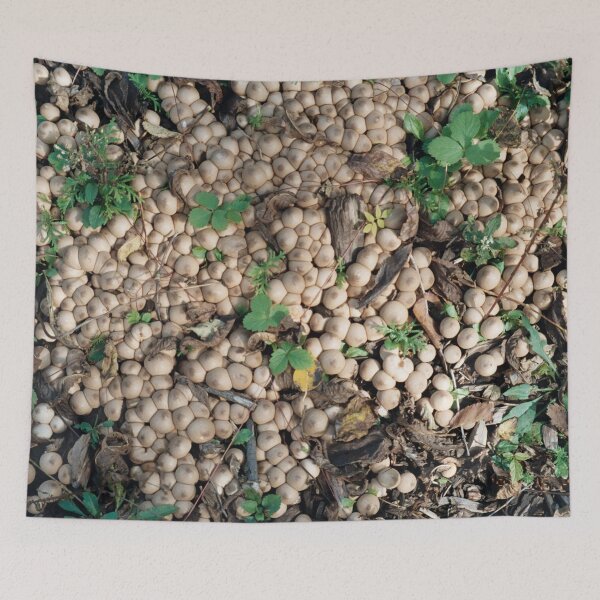 Item preview, Mushroom Forage designed and sold by Rose Ab.