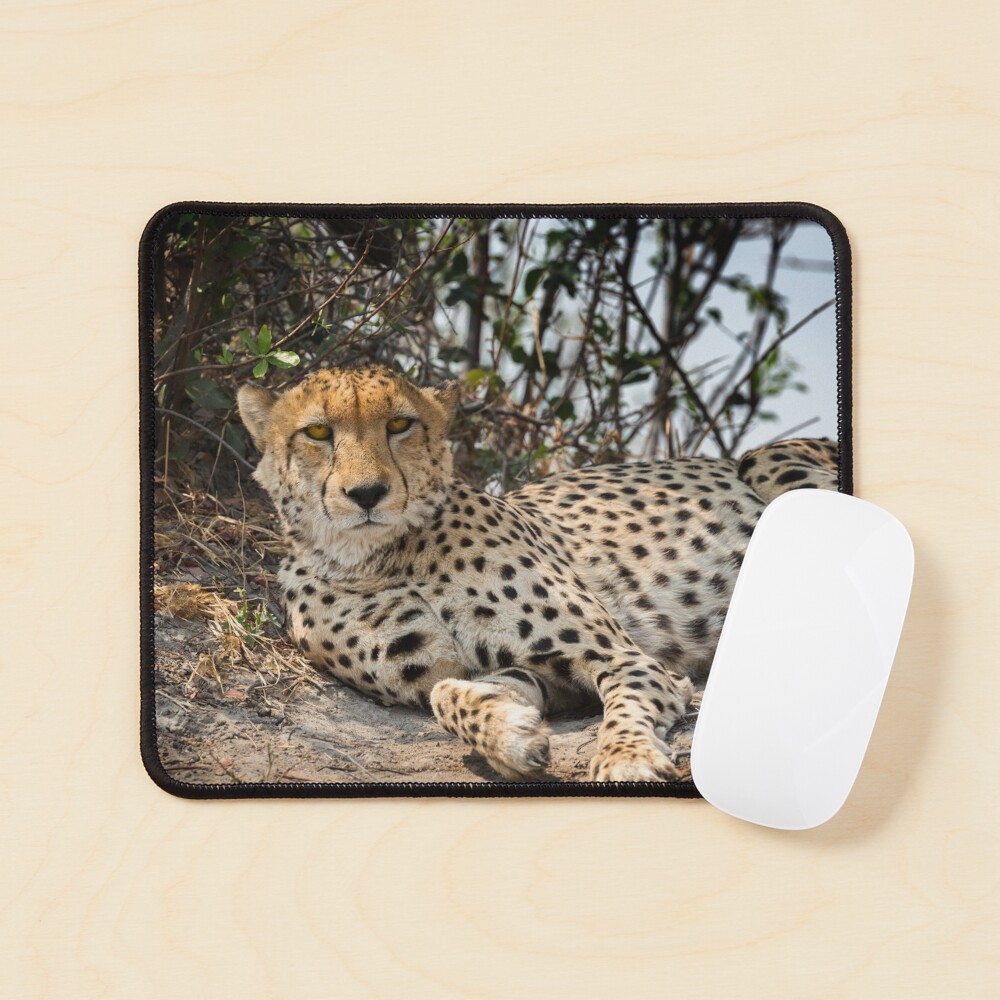 Item preview, Mouse Pad designed and sold by GrahamPrentice.