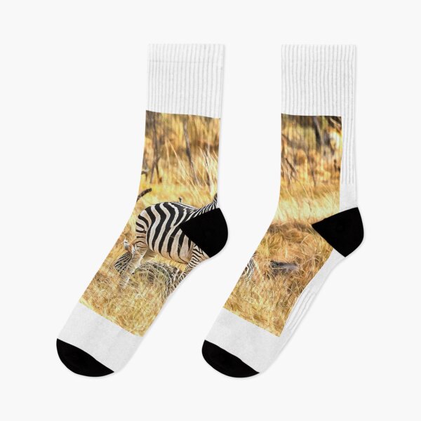 Item preview, Zebras at Peace designed and sold by Graham Prentice.
