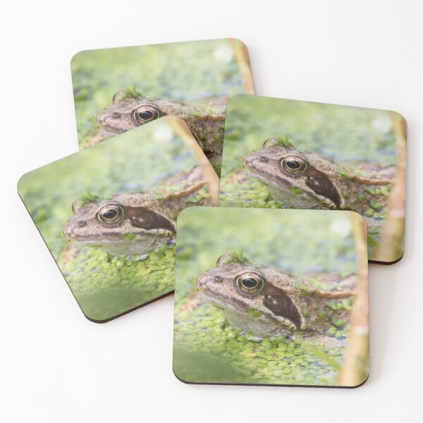 Item preview, Common Frog designed and sold by LaurenTucker.